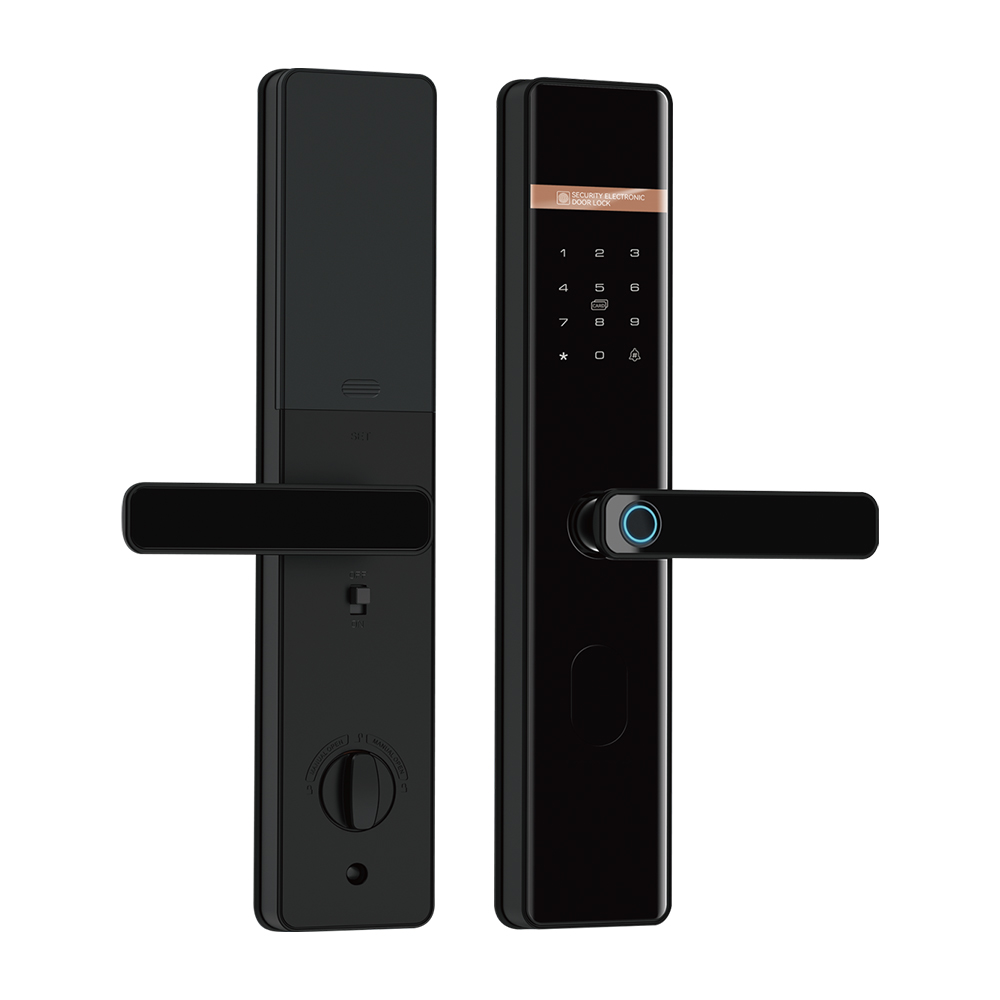 TD-H6-B Tuya Smart lock