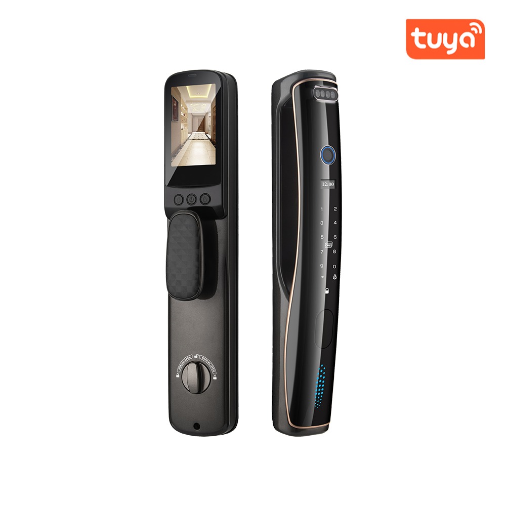 TD-F39ER Tuya Smart Lock